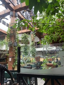 Open-air restaurant with wooden beams, green vines, tables, chairs, and potted plants.