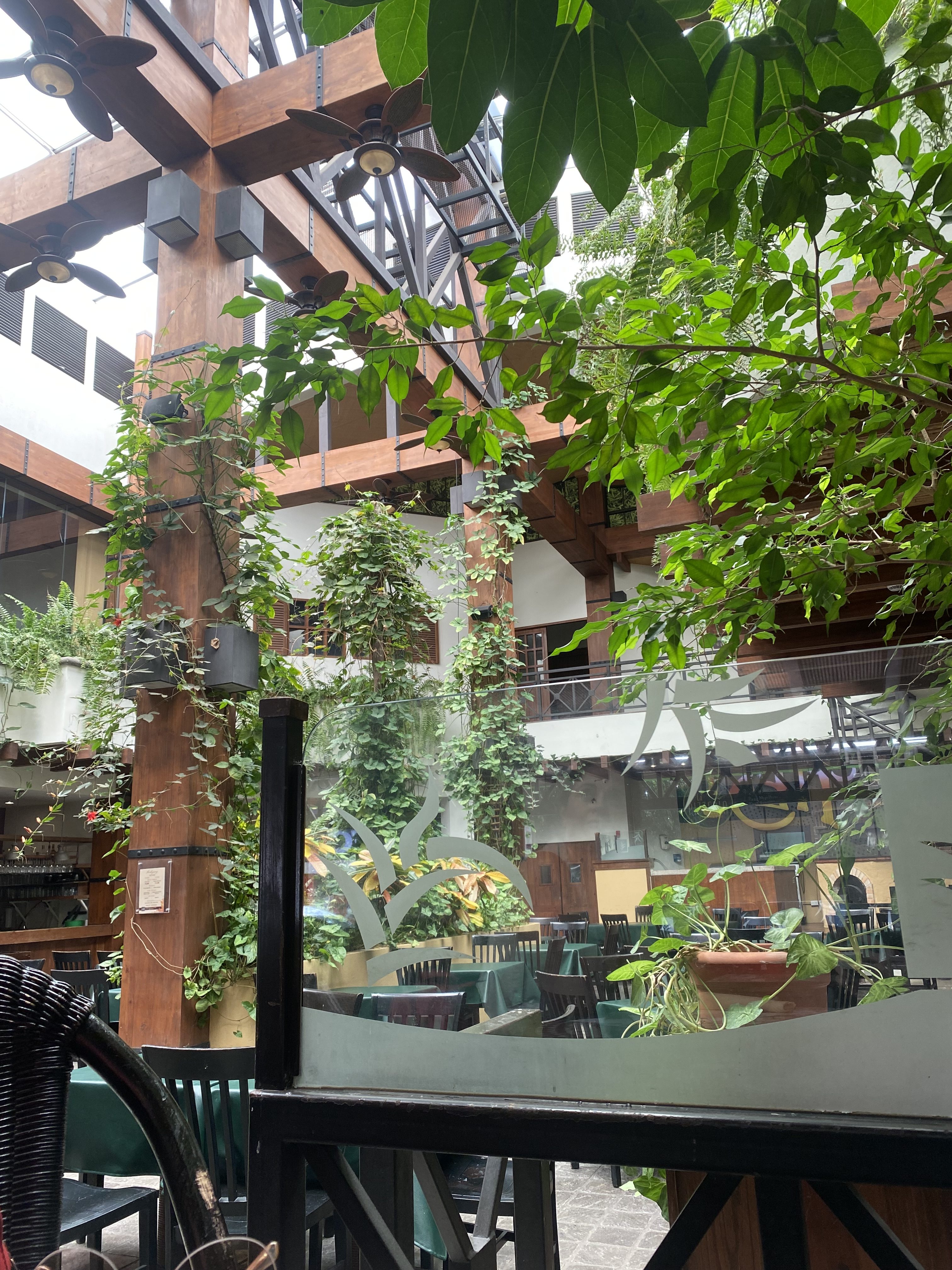 Open-air restaurant with wooden beams, green vines, tables, chairs, and potted plants.