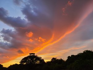Vibrant orange and pink sunset clouds fill the sky above a silhouette of trees and a small lookout tower.
