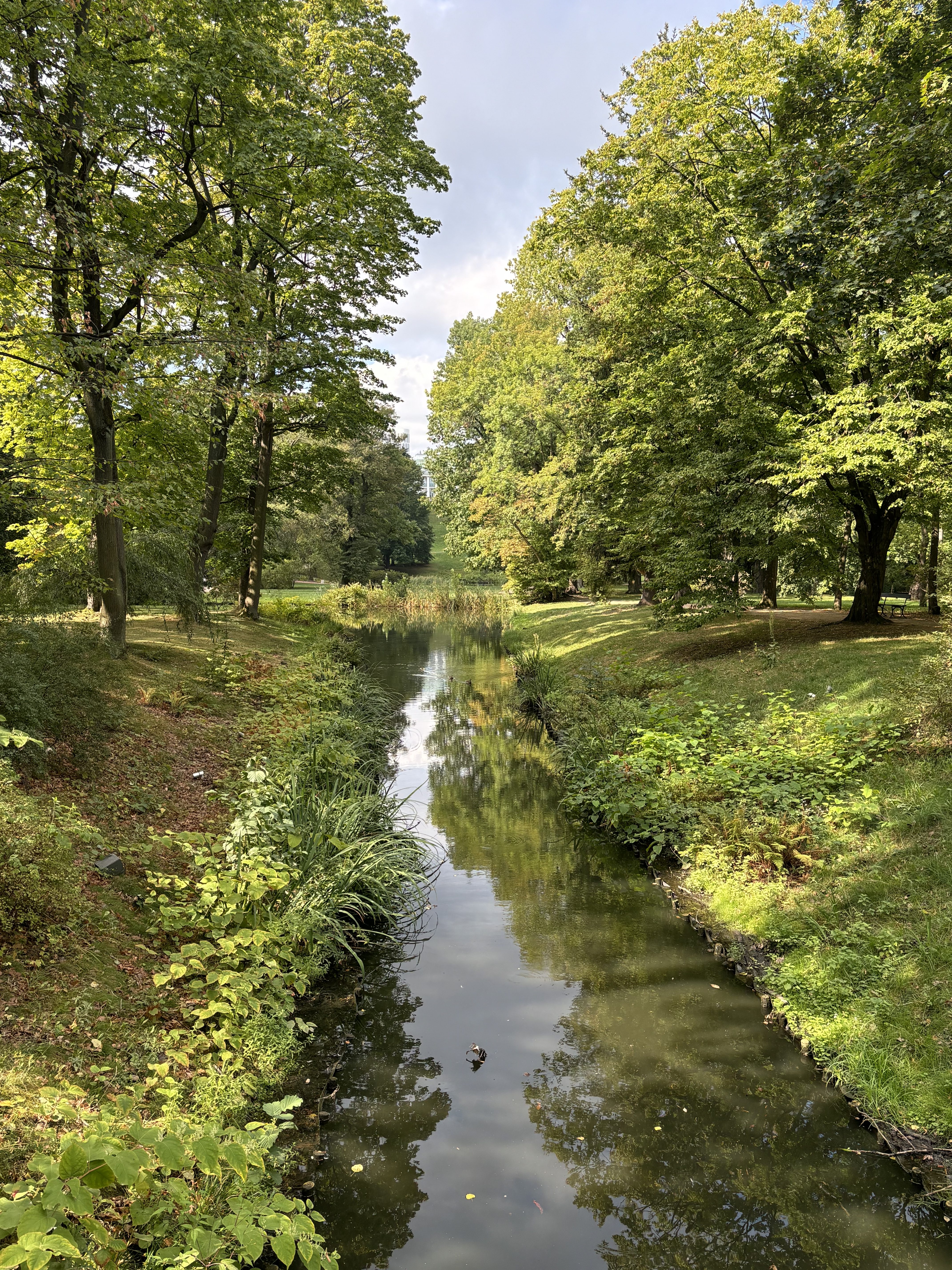 A peaceful park with a narrow waterway surrounded by green trees, plants, and grass. The calm water reflects the sky and surrounding greenery.