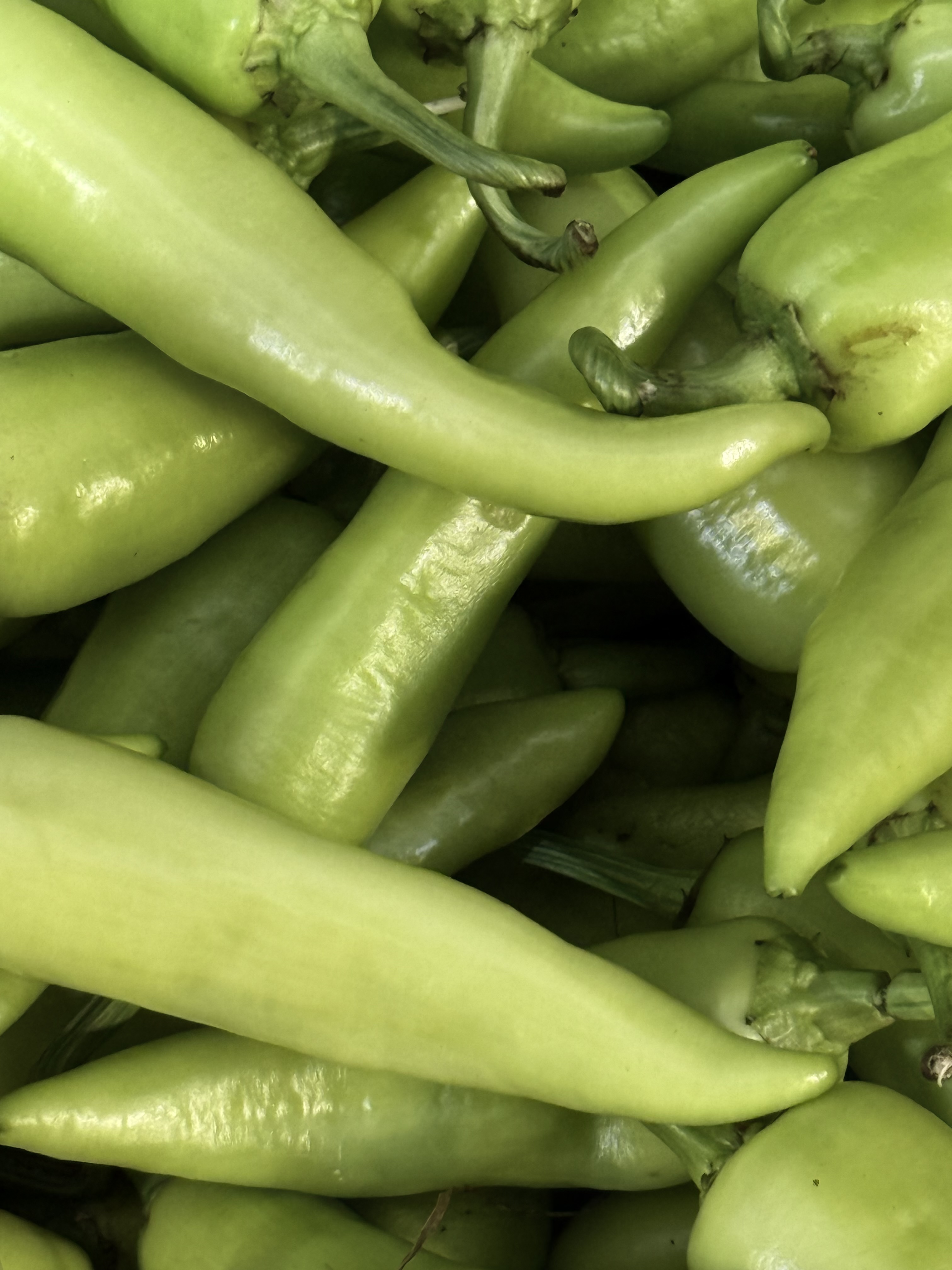 Close-up of a pile of fresh green chili peppers.