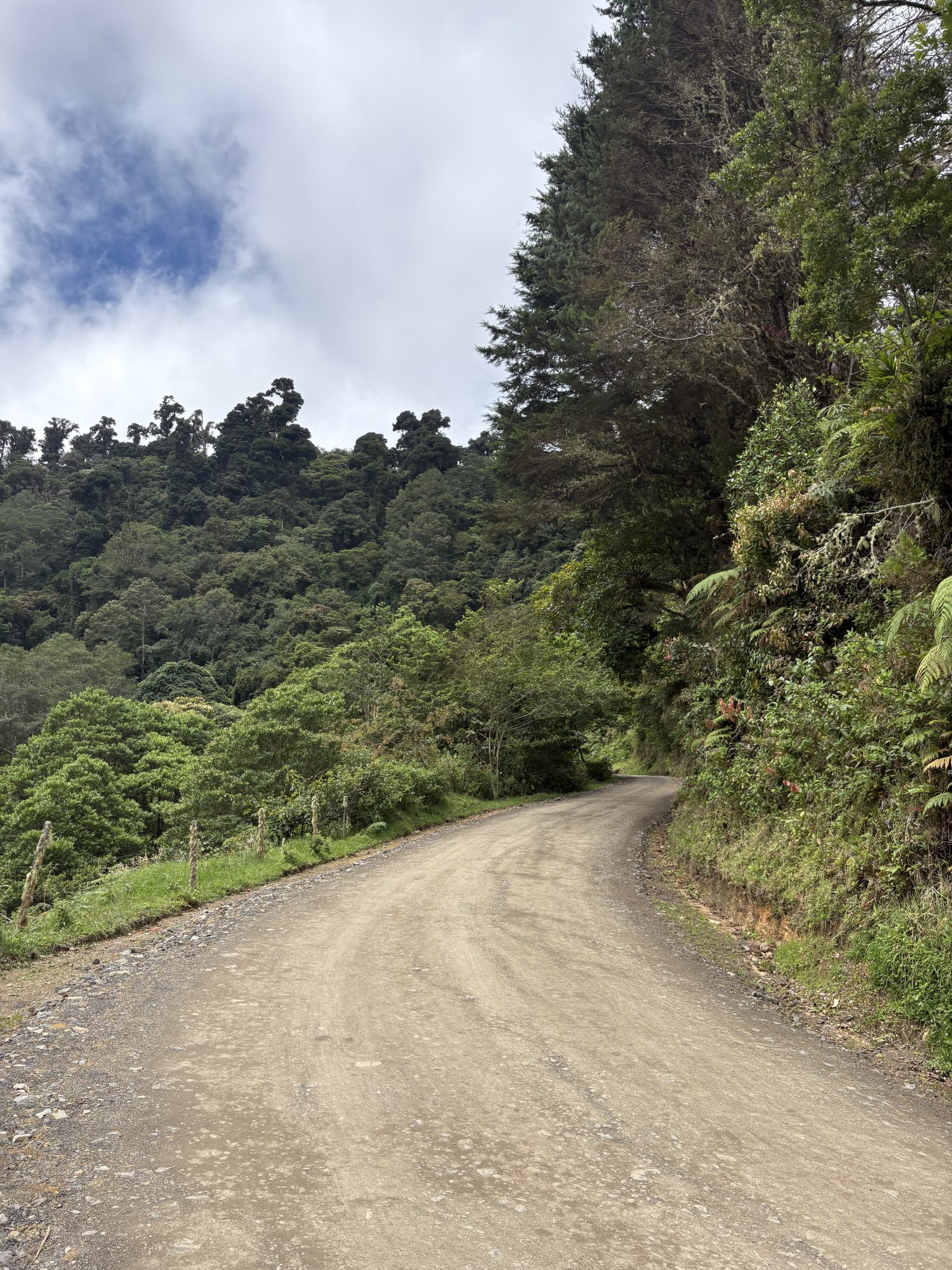 Gravel road through a cloud forest, by Jos&eacute; Andr&eacute;s Redondo Calvo, CC0 via Openverse
