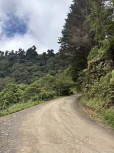 A dirt road winds through a lush, forested mountain landscape under a partly cloudy sky. The road curves to the right, flanked by dense green trees and vegetation on both sides. In the distance, steeper slopes covered in more forest rise up. There's a simple, rustic fence on the left side of the road.
