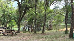 Don Manuel Lagoon is a peaceful natural attraction located in Santa María de Dota, surrounded by lush forests and rolling mountains. Its calm waters reflect the beauty of the surrounding landscape, creating a serene setting for nature lovers, hikers, and photographers. Visitors can also camp by the lagoon, making it an ideal destination to enjoy na