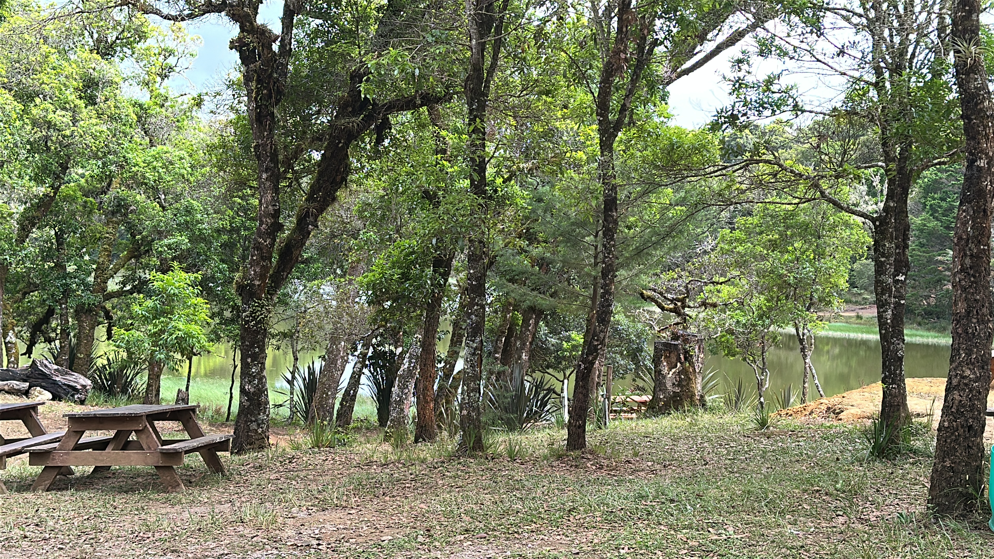 Don Manuel Lagoon is a peaceful natural attraction located in Santa María de Dota, surrounded by lush forests and rolling mountains. Its calm waters reflect the beauty of the surrounding landscape, creating a serene setting for nature lovers, hikers, and photographers. Visitors can also camp by the lagoon, making it an ideal destination to enjoy na