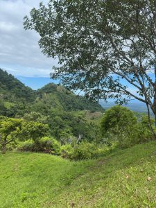 A scenic view of a lush, green landscape featuring rolling hills and dense vegetation. In the foreground, there are grassy areas interspersed with trees, creating a serene setting