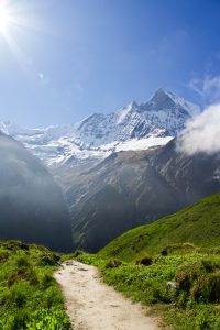Dirt trail through green grassy hills leading toward a snow-capped mountain peak under sunligh