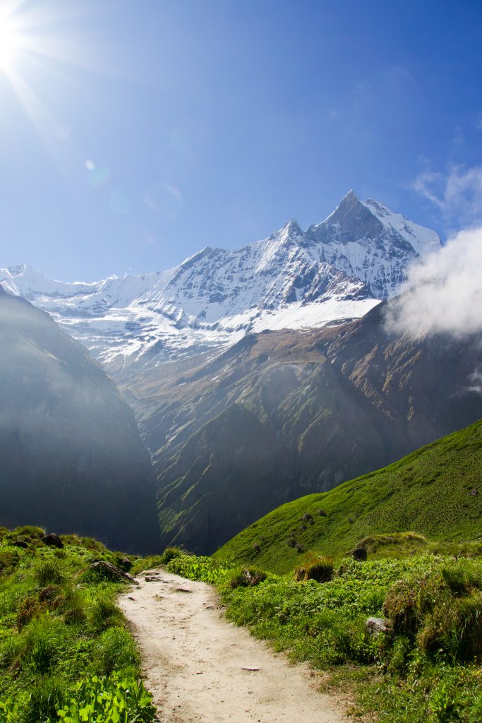 Dirt trail through green grassy hills leading toward a snow-capped mountain peak under sunligh