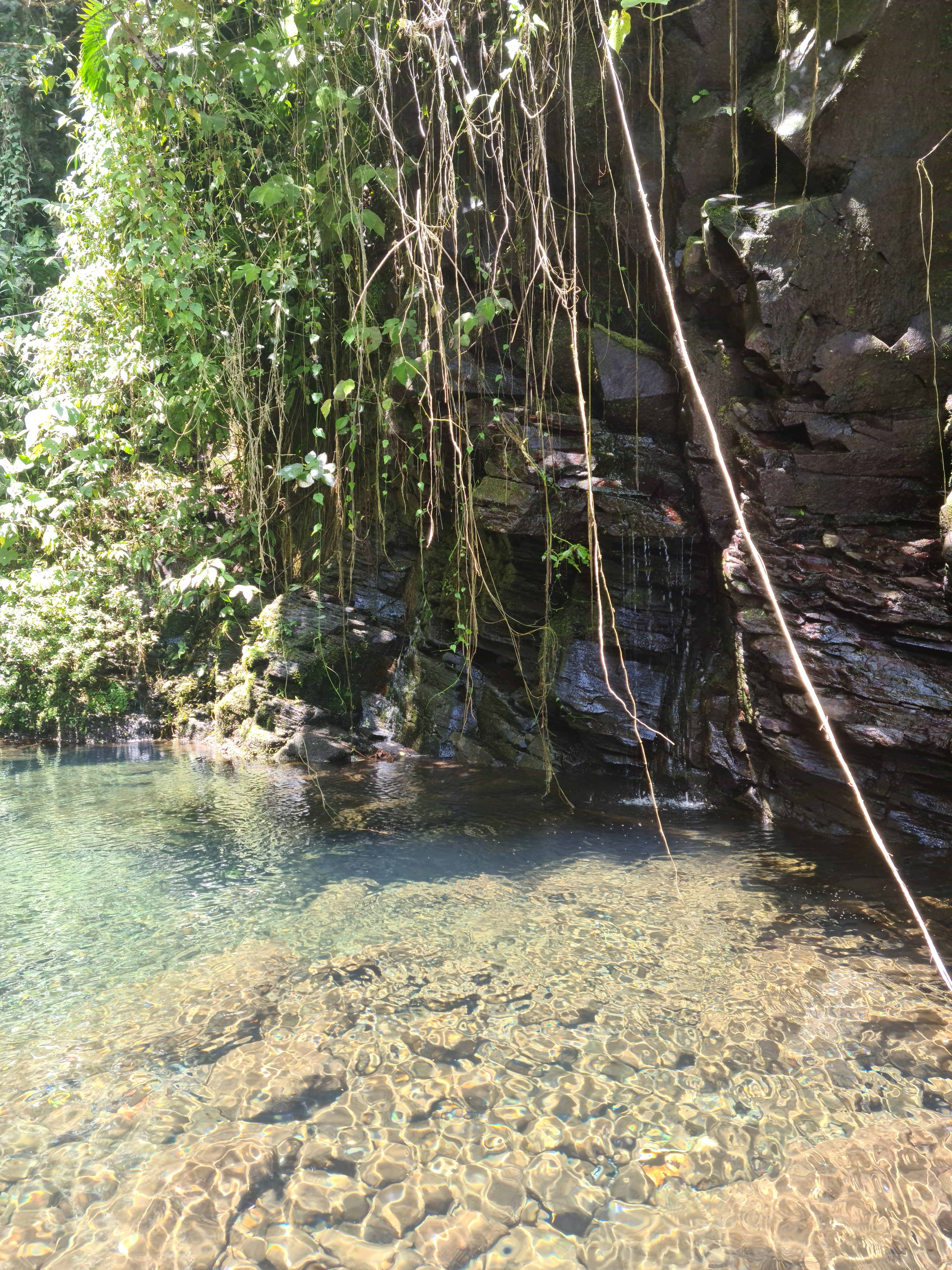 A tranquil scene of a clear, shallow body of water reflecting the sunlight, revealing smooth stones at the bottom.