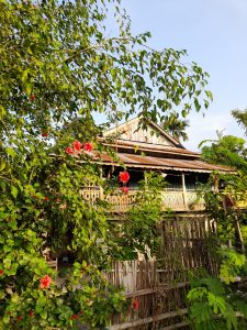 A rustic wooden house with a tin roof is partially concealed by lush green foliage and vibrant red flowers.