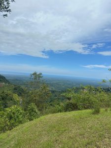 A scenic view from a hillside overlooking a lush green landscape. In the foreground, there is a patch of well-maintained grass, and scattered shrubs and trees.