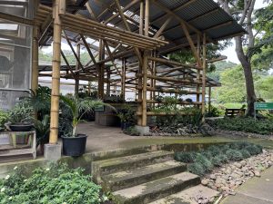 Open-air plant exhibition with bamboo structures, potted plants, landscaped gardens, and concrete steps.