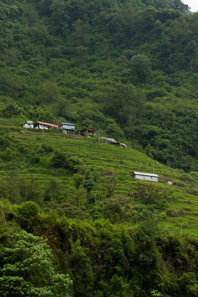 Small houses and terraced farmland on a green hillside surrounded by dense forest