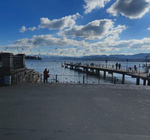 Birds Over the Lakeside Pier