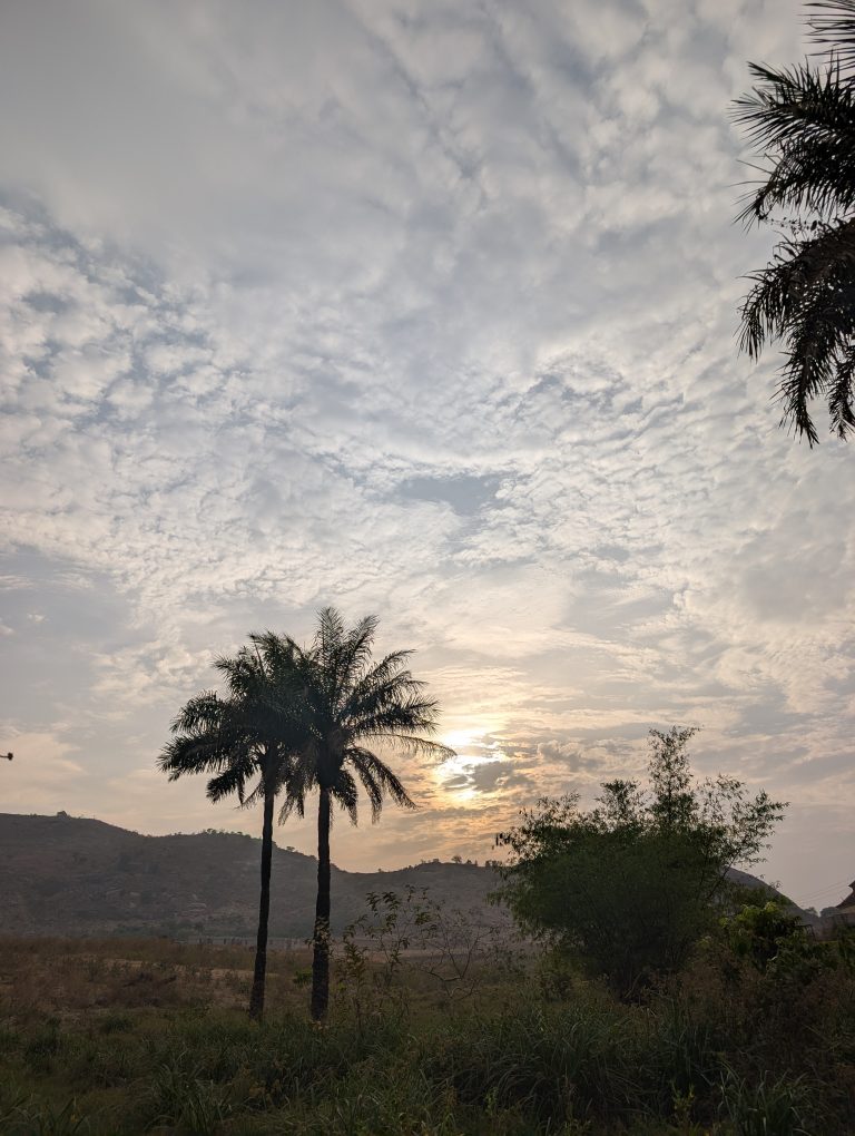 wo palm trees stand against a hazy afternoon sky, with rolling hills and green grasses in the foreground.