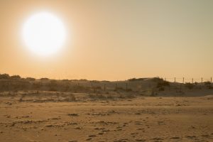 
Golden sand dunes at sunset with footprints and coastal vegetation.