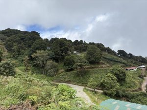 Winding gravel road through green hills with small houses and lush trees.
