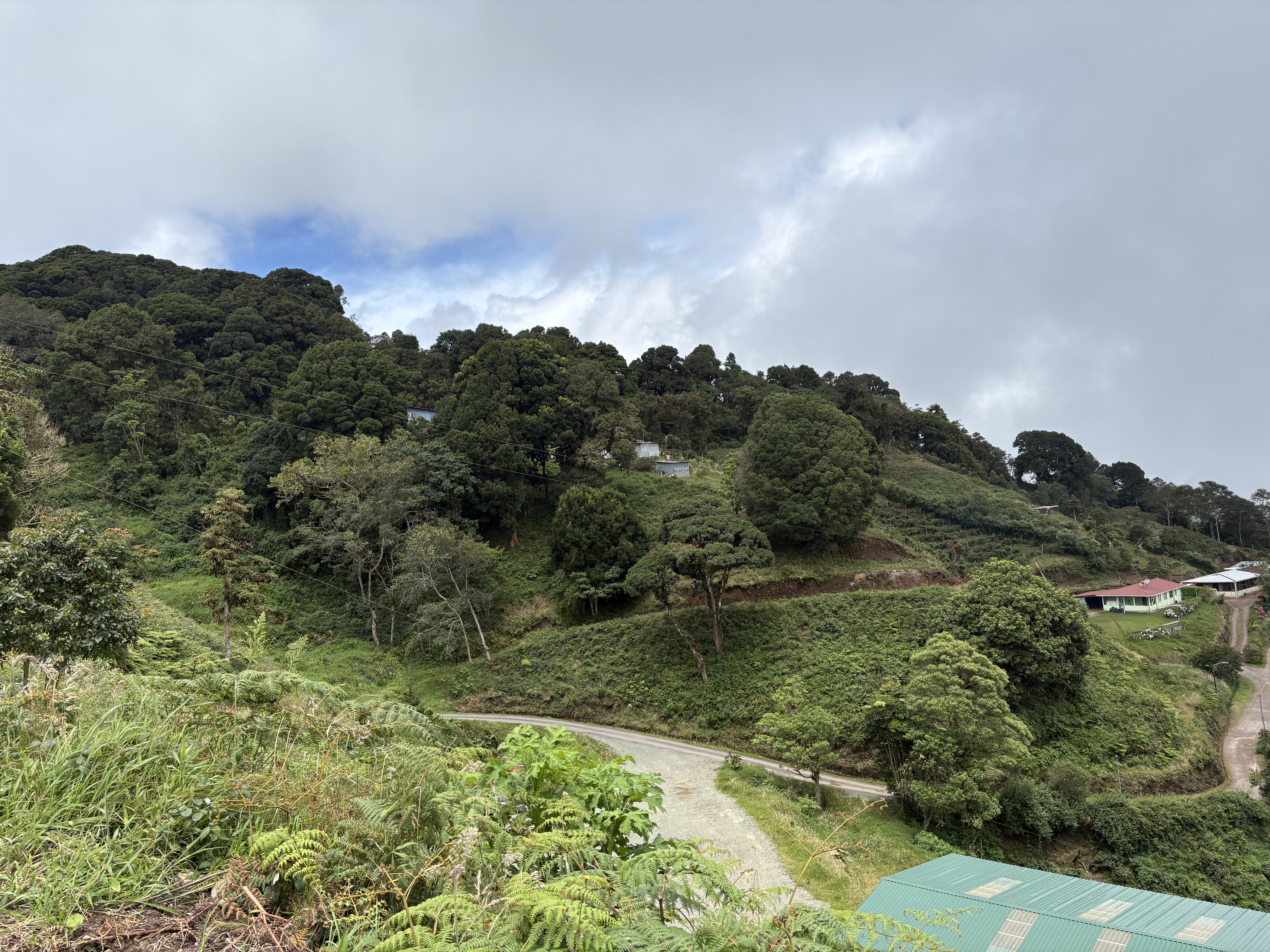 Winding gravel road through green hills with small houses and lush trees.