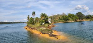 A small, green island with palm trees sits in the middle of a large blue lake. The island has yellowish, sandy shores, and a few small boats are cruising on the calm water.