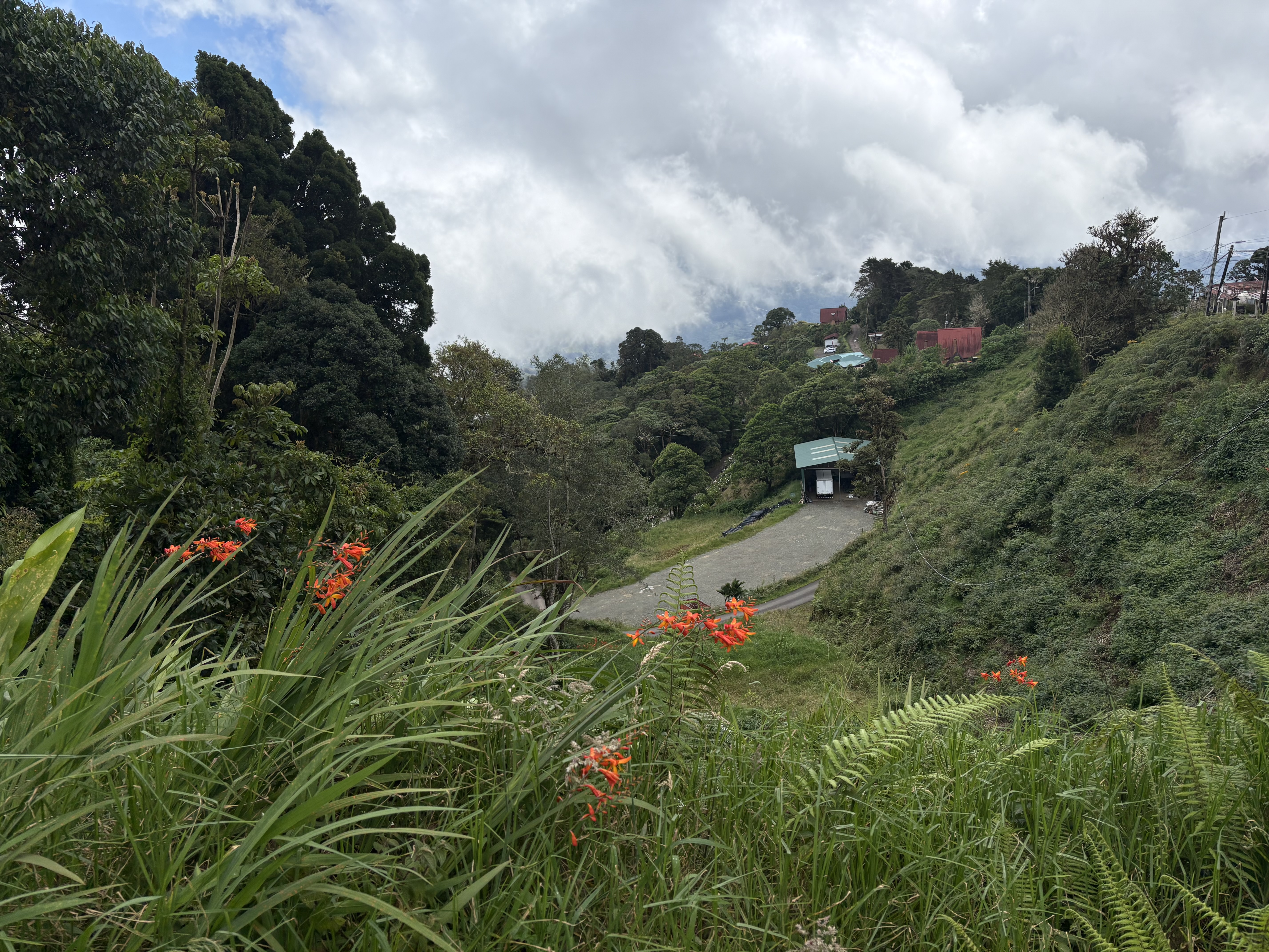 Green mountain landscape with a winding path, hillside houses, orange flowers, and low clouds.