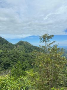 Lush green mountains beneath a partly cloudy sky, with vibrant foliage in the foreground. 