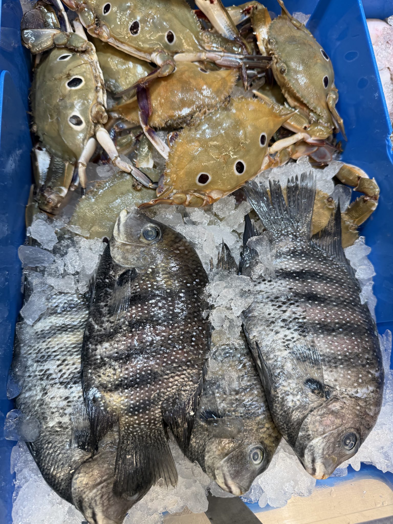 Mixed seafood packed in ice