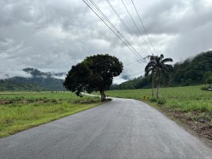 Paved rural road winding through green fields with forested mountains, low clouds, and an overcast sky.