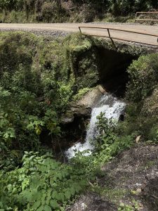 A small waterfall flowing out from under a concrete bridge with rusty metal handrails on a dirt road, surrounded by lush green foliage and vegetation.
