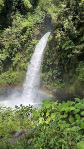 A cascading waterfall tumbles down into a rocky basin, surrounded by lush green foliage. 

