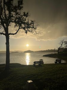 A sunset over a calm lake, with the sun reflecting on the water. A large tree, benches, and a small boat appear in silhouette along the grassy shore.