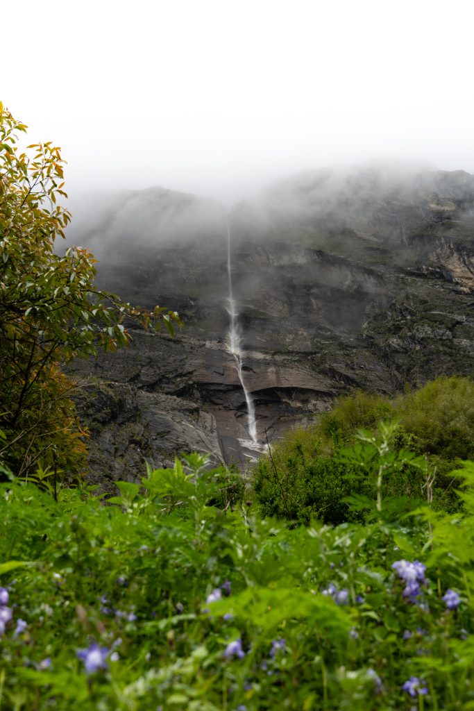 Thin waterfall streaming down a foggy rock face, with purple wildflowers and green foliage in the foreground