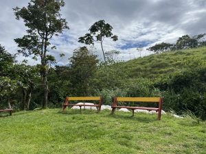 A serene outdoor setting featuring two benches, one red with a yellow backrest and the other simply red, both placed on a grassy area.