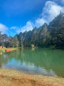 
A peaceful lake surrounded by nature.