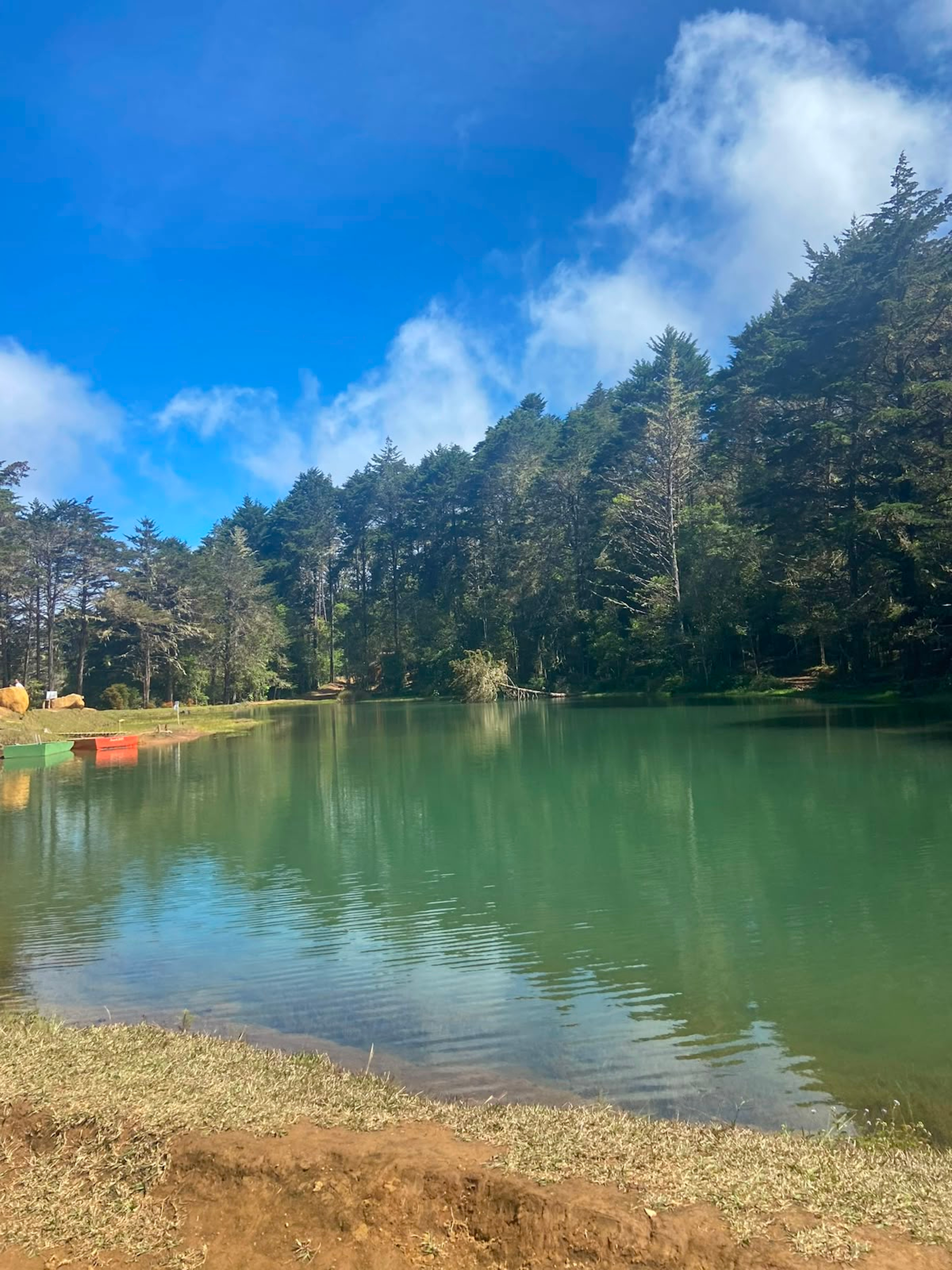 A peaceful lake surrounded by nature.