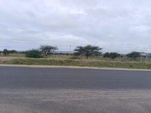 A roadside view with rolling hills, trees, and shrubs.
