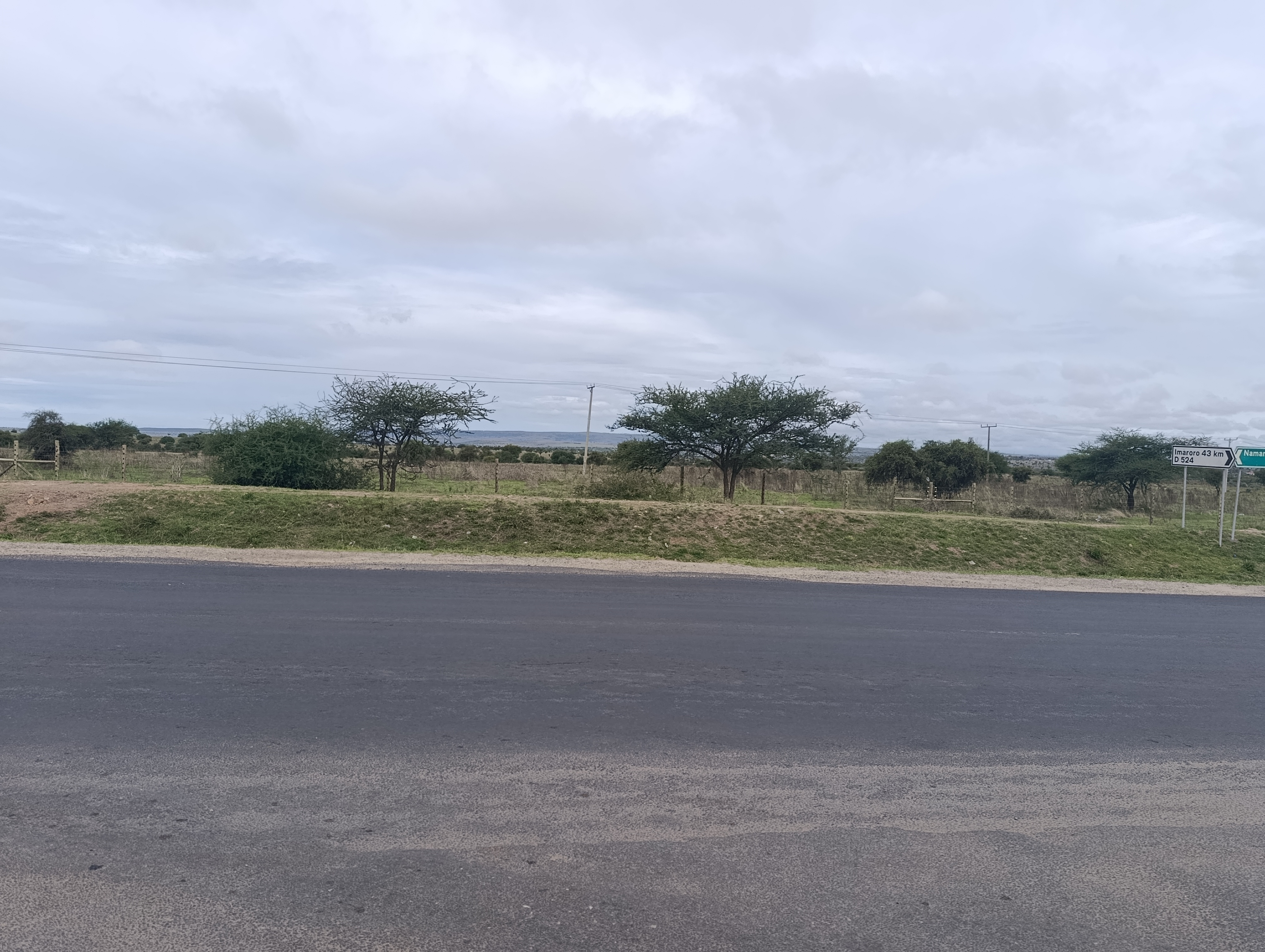 A roadside view with rolling hills, trees, and shrubs.