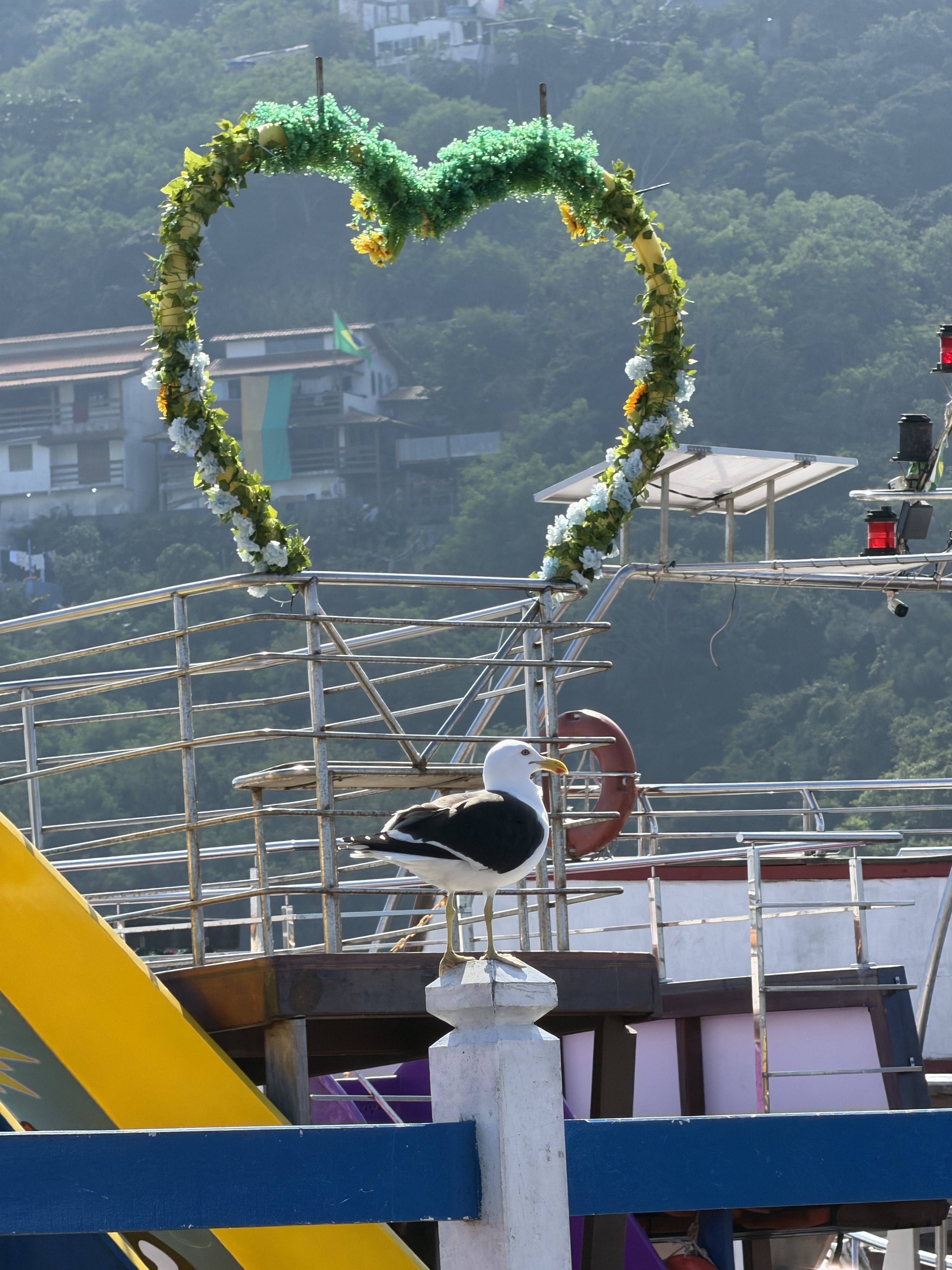 A white and black seagull stands on a white post at a harbor, with a flower-covered heart arch and hillside in the background.