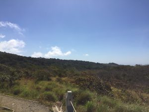 A vast landscape stretches out under a bright blue sky dotted with a few fluffy white clouds. In the foreground, the ground is a mix of greenery and dirt, with patches of tall grass swaying gently.