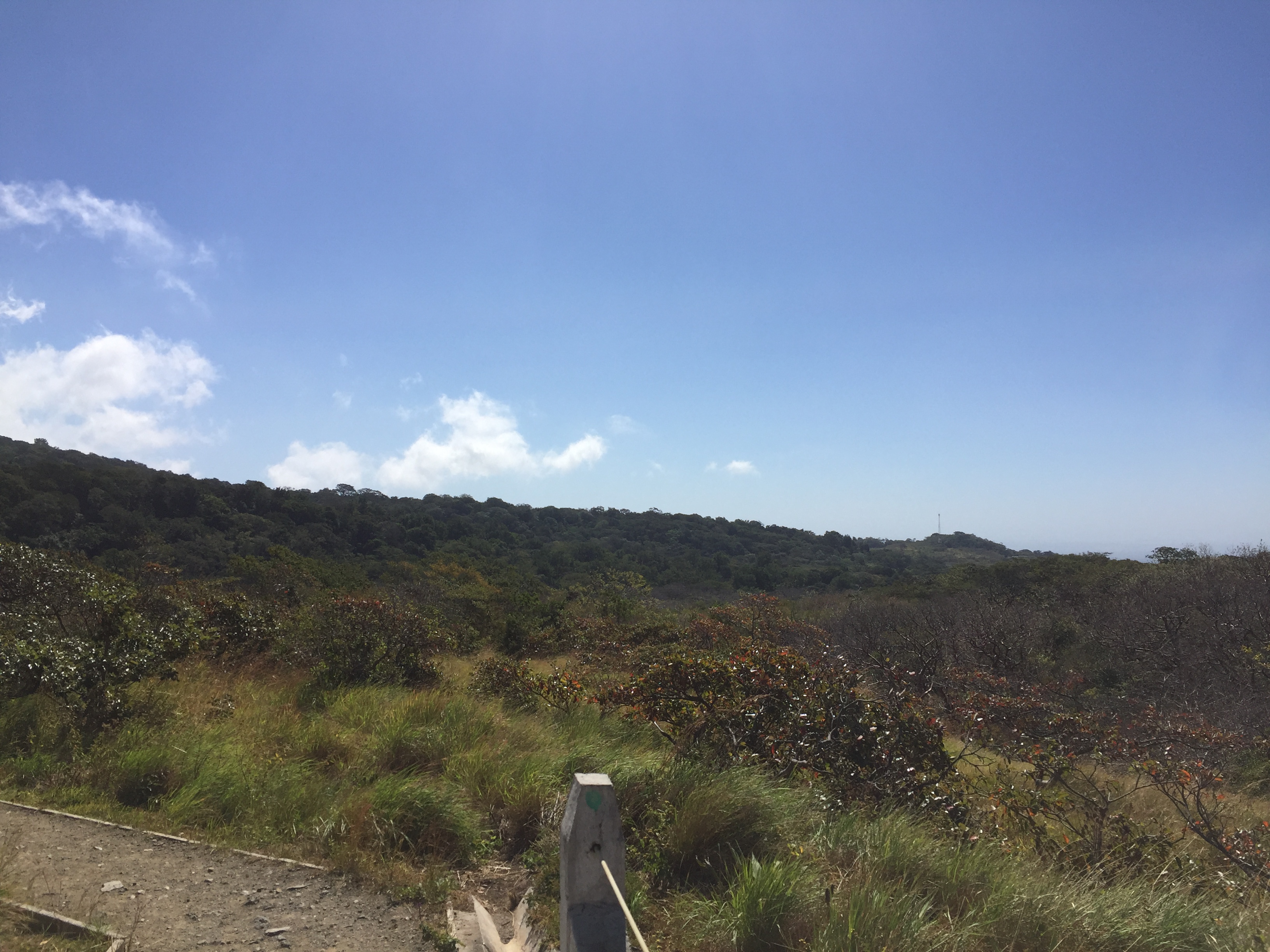 A vast landscape stretches out under a bright blue sky dotted with a few fluffy white clouds. In the foreground, the ground is a mix of greenery and dirt, with patches of tall grass swaying gently.