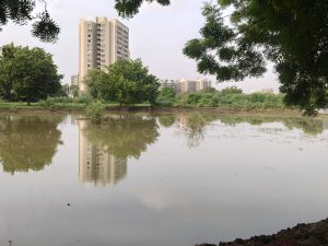 A calm body of water reflects a tall building and greenery surrounding it. On the left side, large trees provide shade, their leaves creating a soft outline against the bright sky.