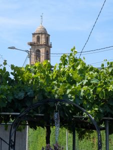 Stone bell tower of San Martiño de Argas Church rising behind a vineyard in Ourense, Galicia.