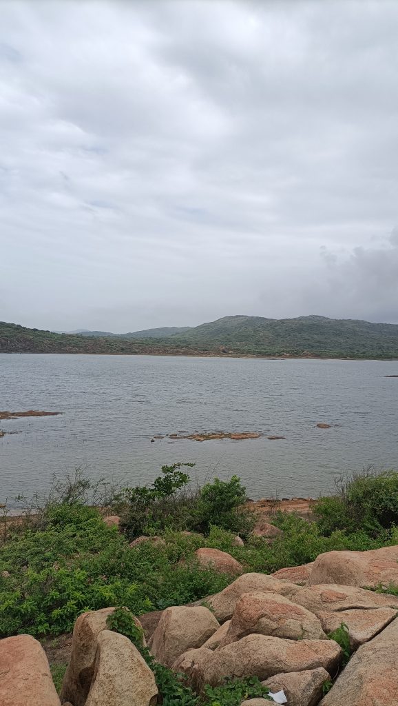 A calm river surrounded by rocks, green plants, and distant hills under a cloudy sky.