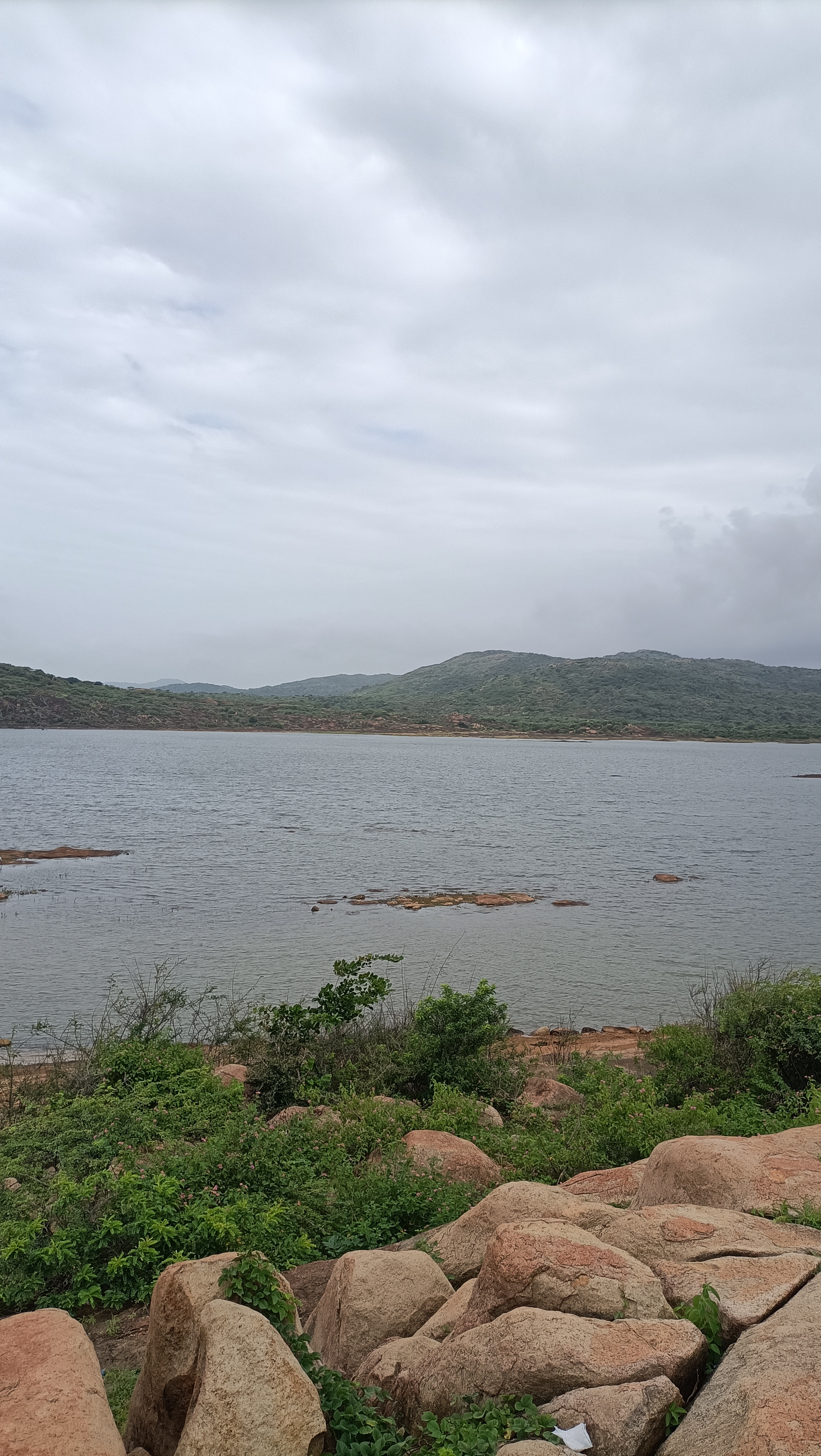 A calm river surrounded by rocks, green plants, and distant hills under a cloudy sky.