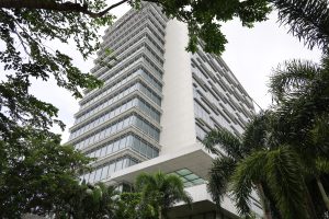 Tall building framed with luscious tree leaves. 