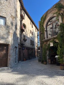 
A narrow cobblestone street lined with stone buildings, flowers, and green vines.