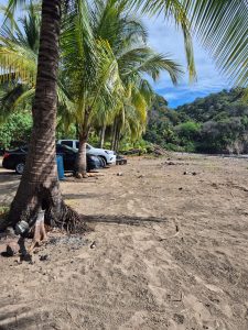 Tropical beach with palm trees, lush greenery, sandy shore, and mountains in the background.