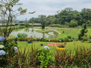 
A scenic view of a tranquil garden landscape, featuring a small pond surrounded by lush greenery
