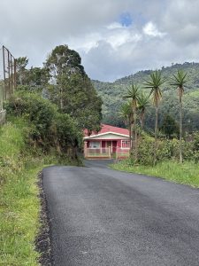 A paved road leads to a red house, with tall trees and green mountains in the background.

