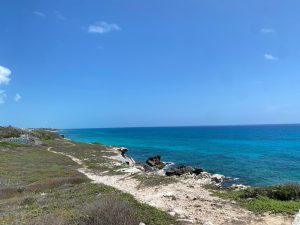 Panoramic view of a rugged coastal landscape with rocky cliffs, low vegetation, turquoise ocean water, and a bright blue sky with scattered white clouds.
