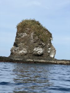 
Monkey-shaped rock in the sea.